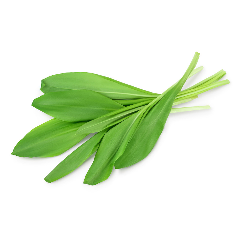 AIL DES OURS GROSBUSCH 12X20G